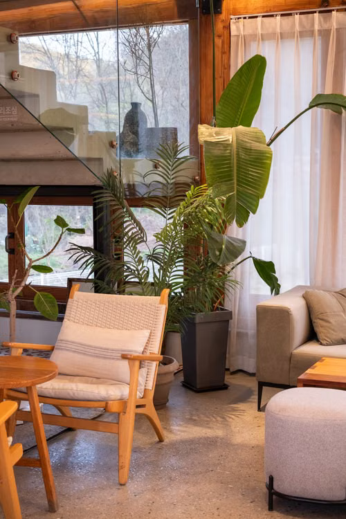 Interior Design in Mangalore: Planning a Home Around Light and Air